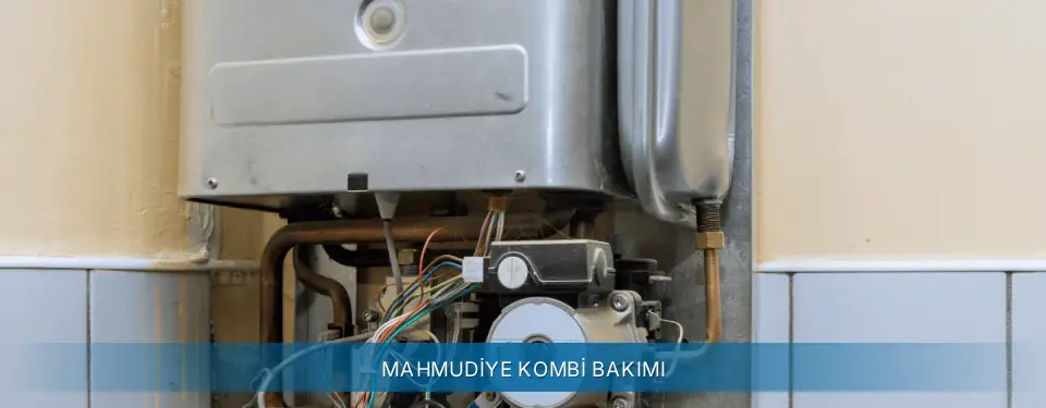 Mahmudiye İlçemi Termoteknik Kombi Bakımı